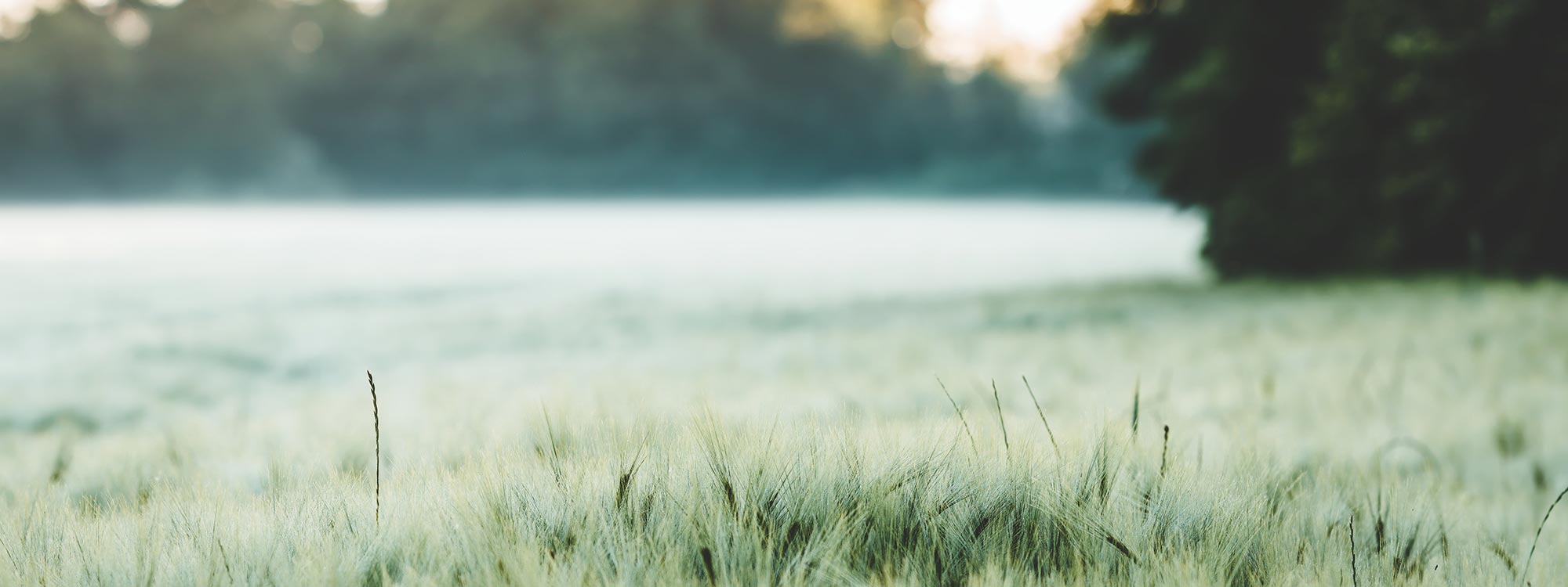 Architektur & Nachhaltigkeit - Skyview Chalets