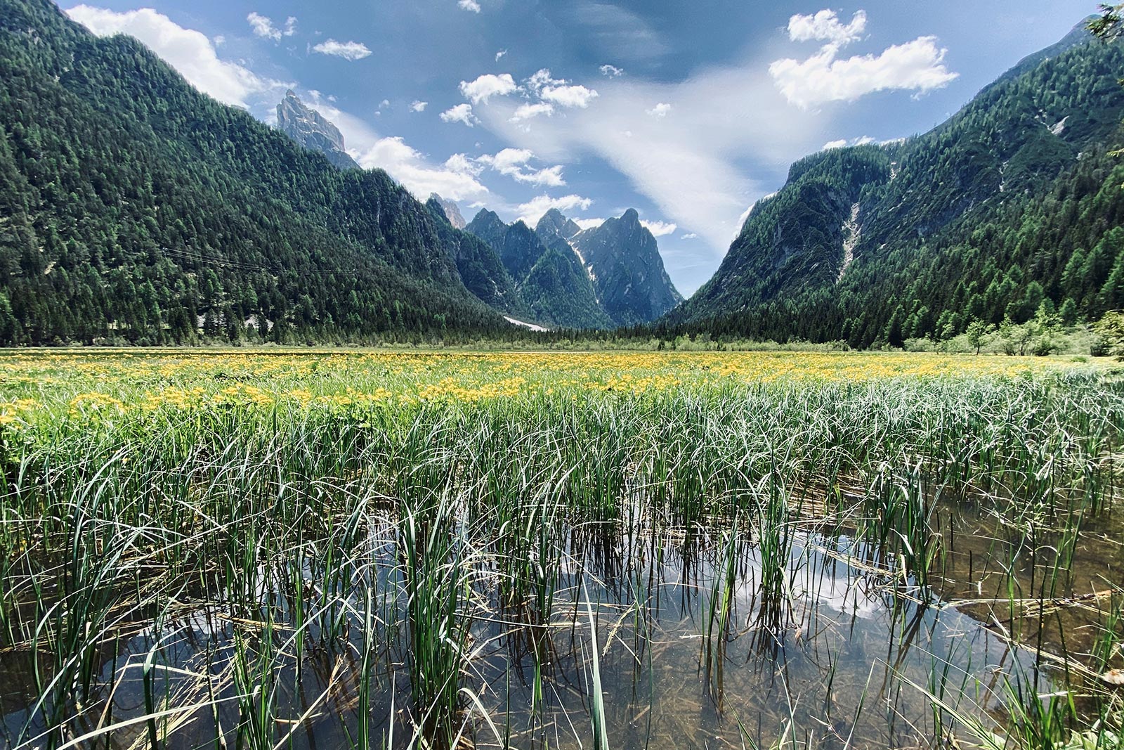 Impressions - Lake Dobbiaco in summer with a sea of flowers • SkyView Chalets Toblacher See
