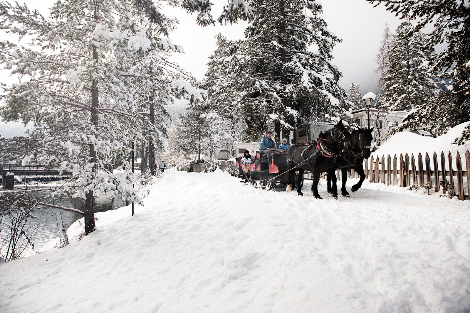 Kutschenfahrt mit Pferden im Winter - Camping Toblacher See