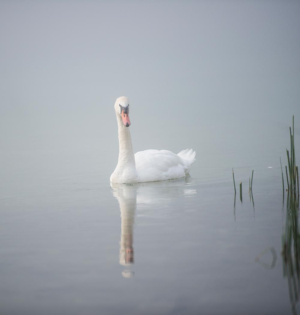 Tempo libero & Attività
