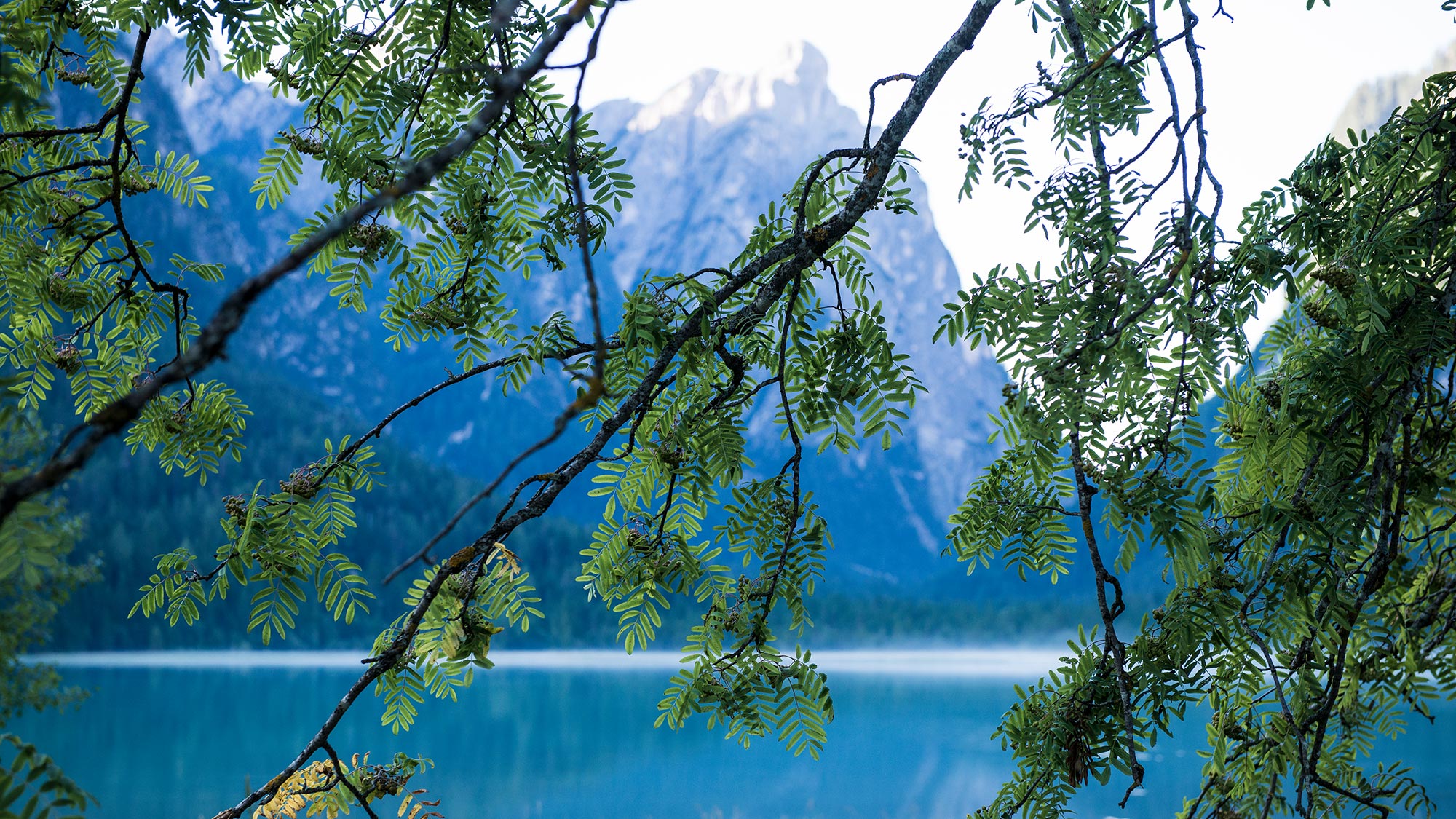 Così vicino alle Dolomiti 
